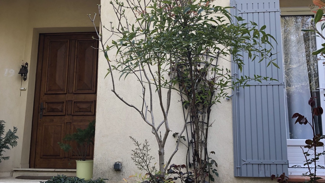 Photo of Outdoor in Pont Royal