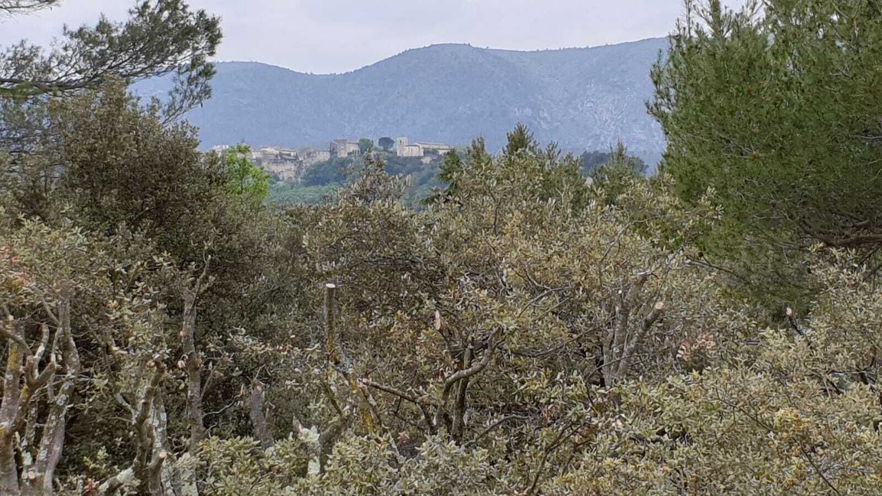 Photo of Outdoor in Menerbes