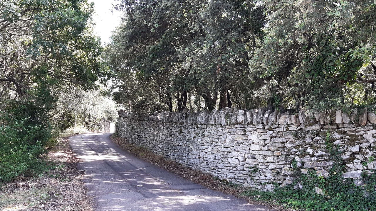 Photo of Outdoor in Menerbes