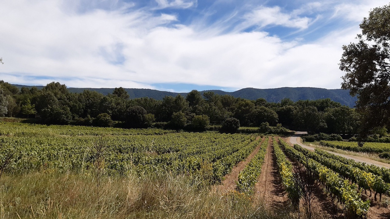 Photo of Outdoor in Menerbes