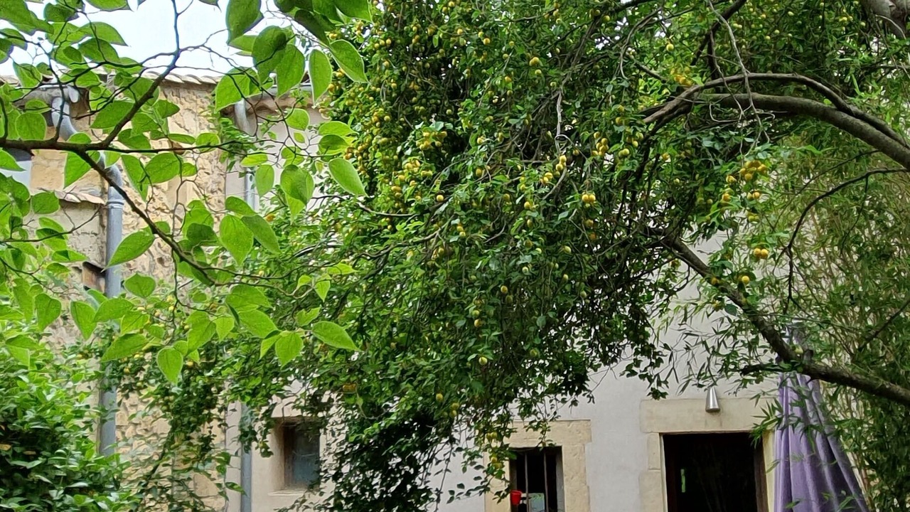 Photo of Outdoor in Vers-Pont-du-Gard