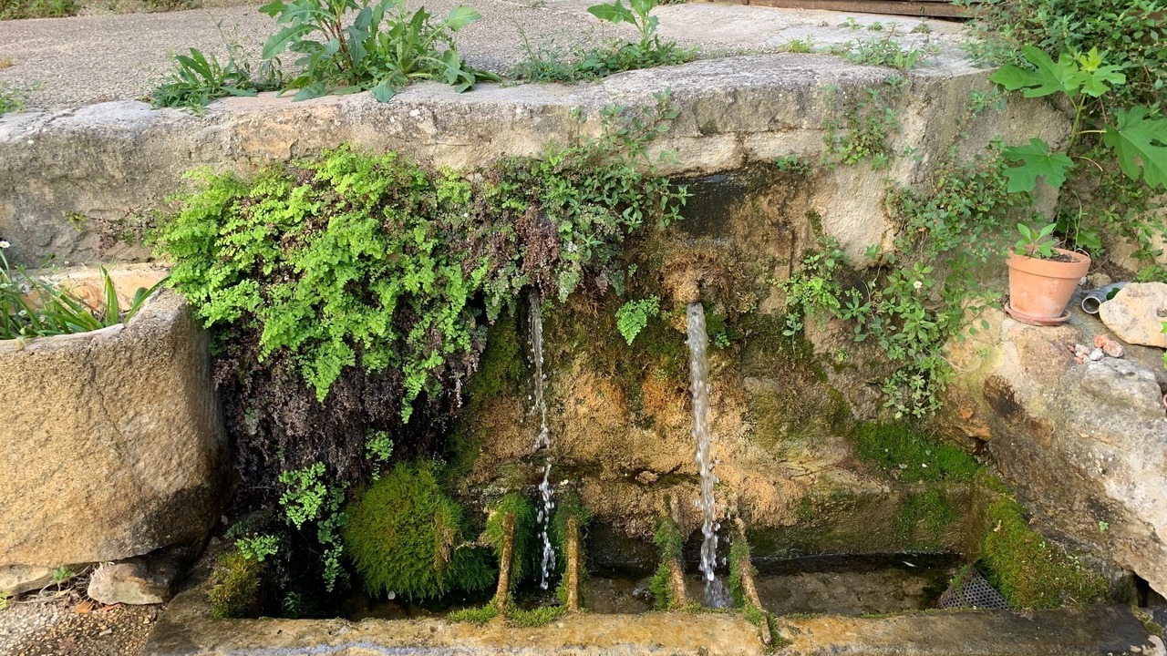 Photo of Outdoor in Lafare