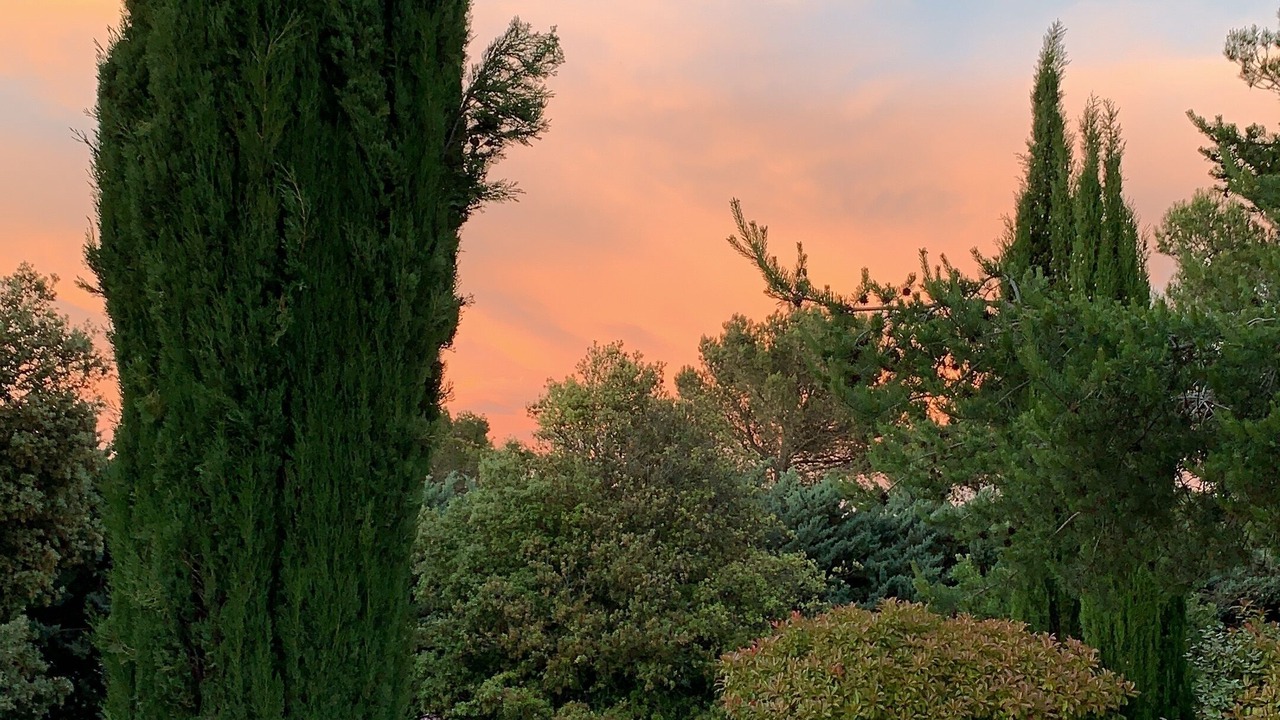 Photo of Outdoor in Murs
