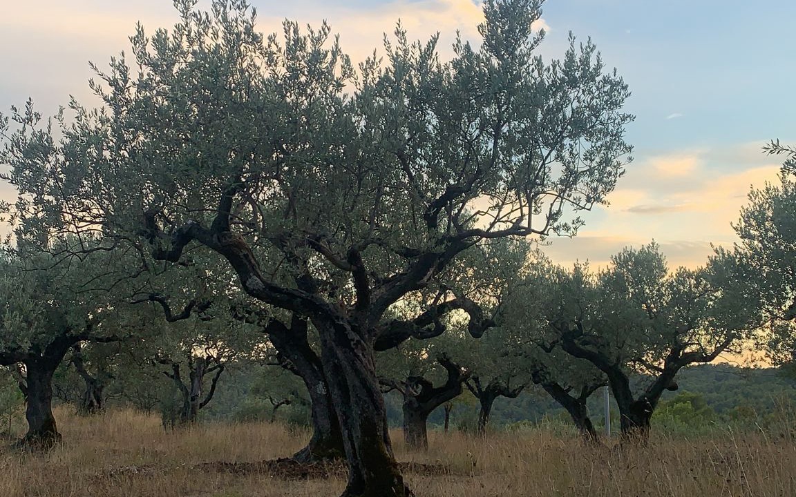 Photo of Outdoor in Claviers