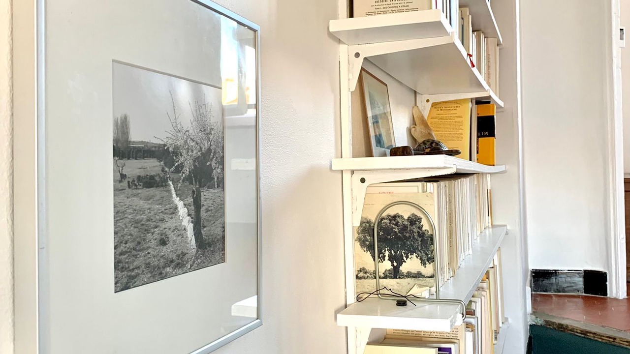 Photo of Others in Noailles