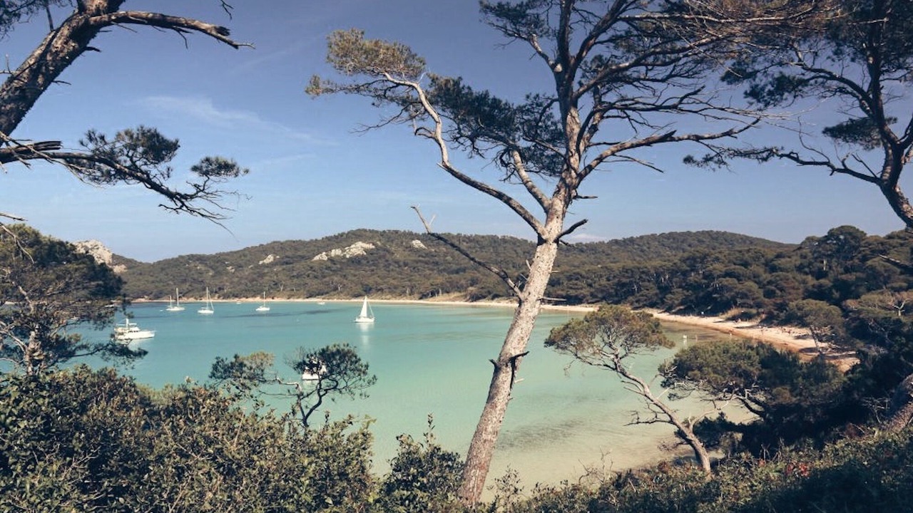 Photo of Others in La Londe-les-Maures
