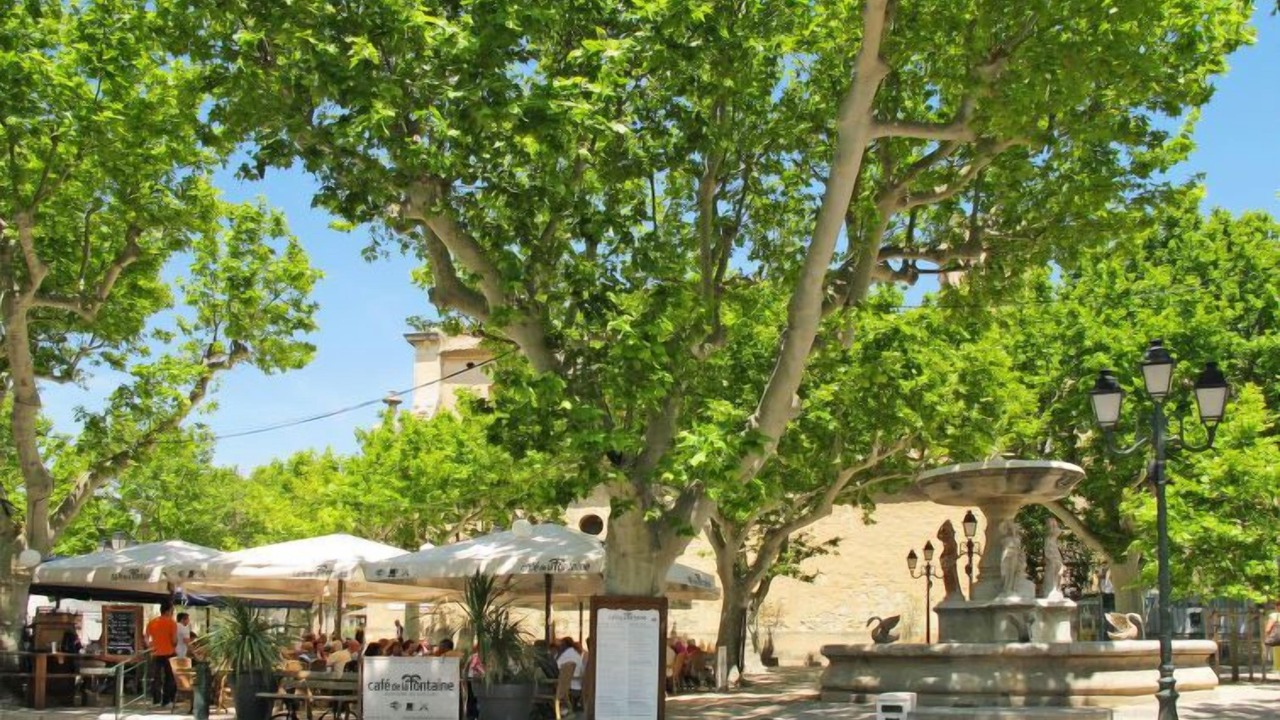 Photo of Outdoor in Maussane