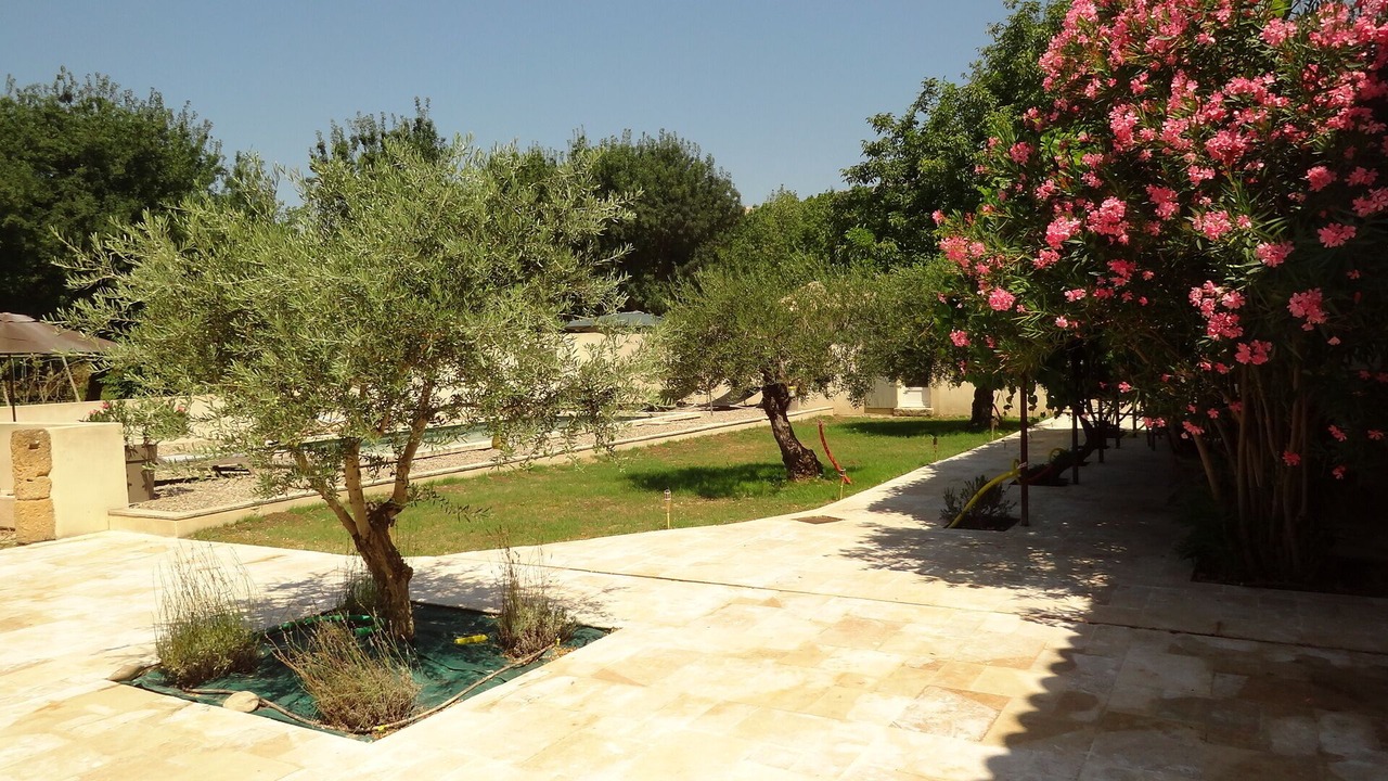 Photo of Outdoor in Cheval-Blanc