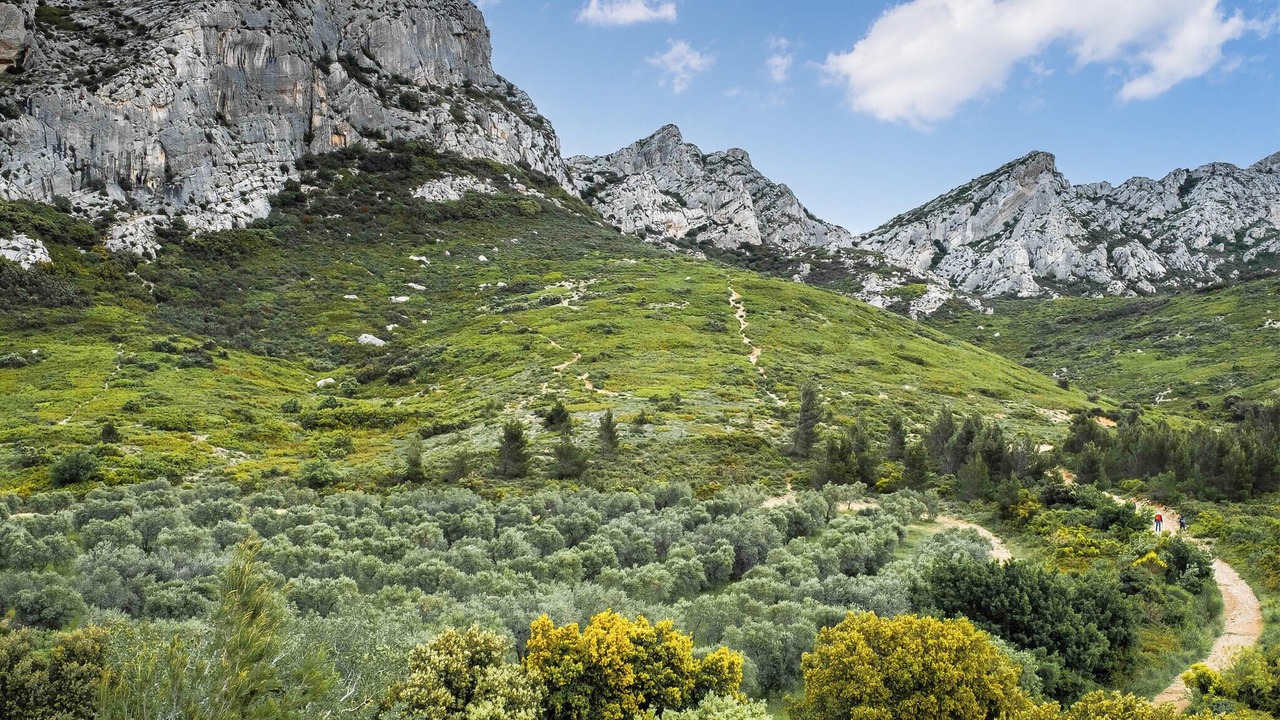 Photo of Others in Vallabregues