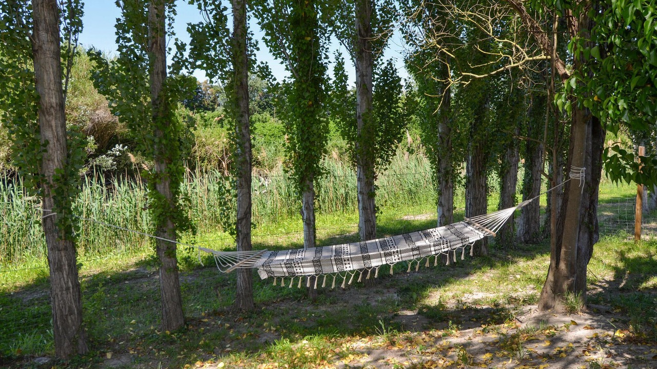 Photo of Others in Vallabregues