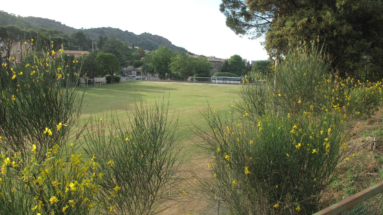 Photo of Outdoor in La Garde-Freinet