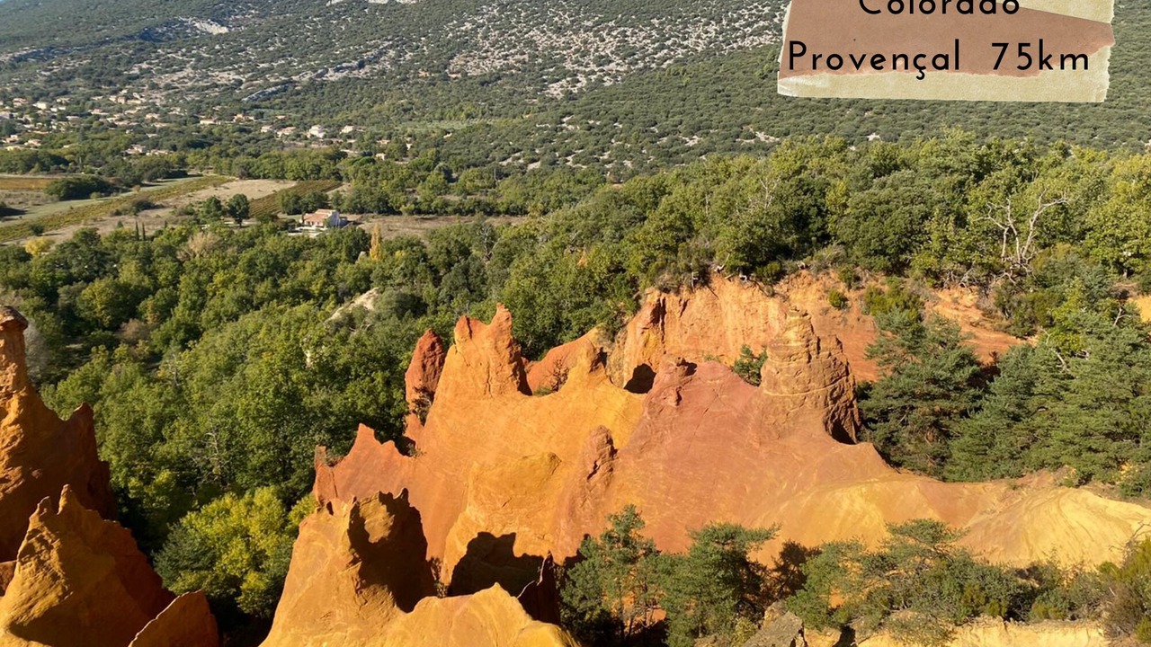 Photo of Outdoor in Orange