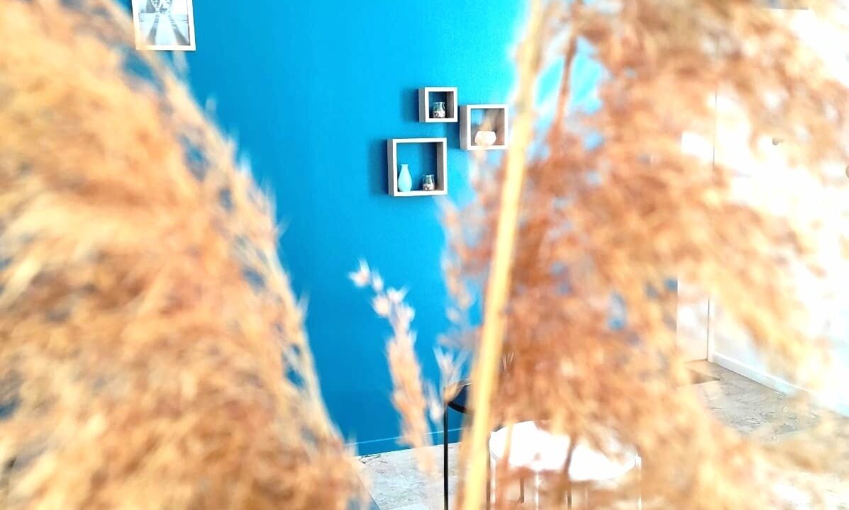 Photo of Others in Orange