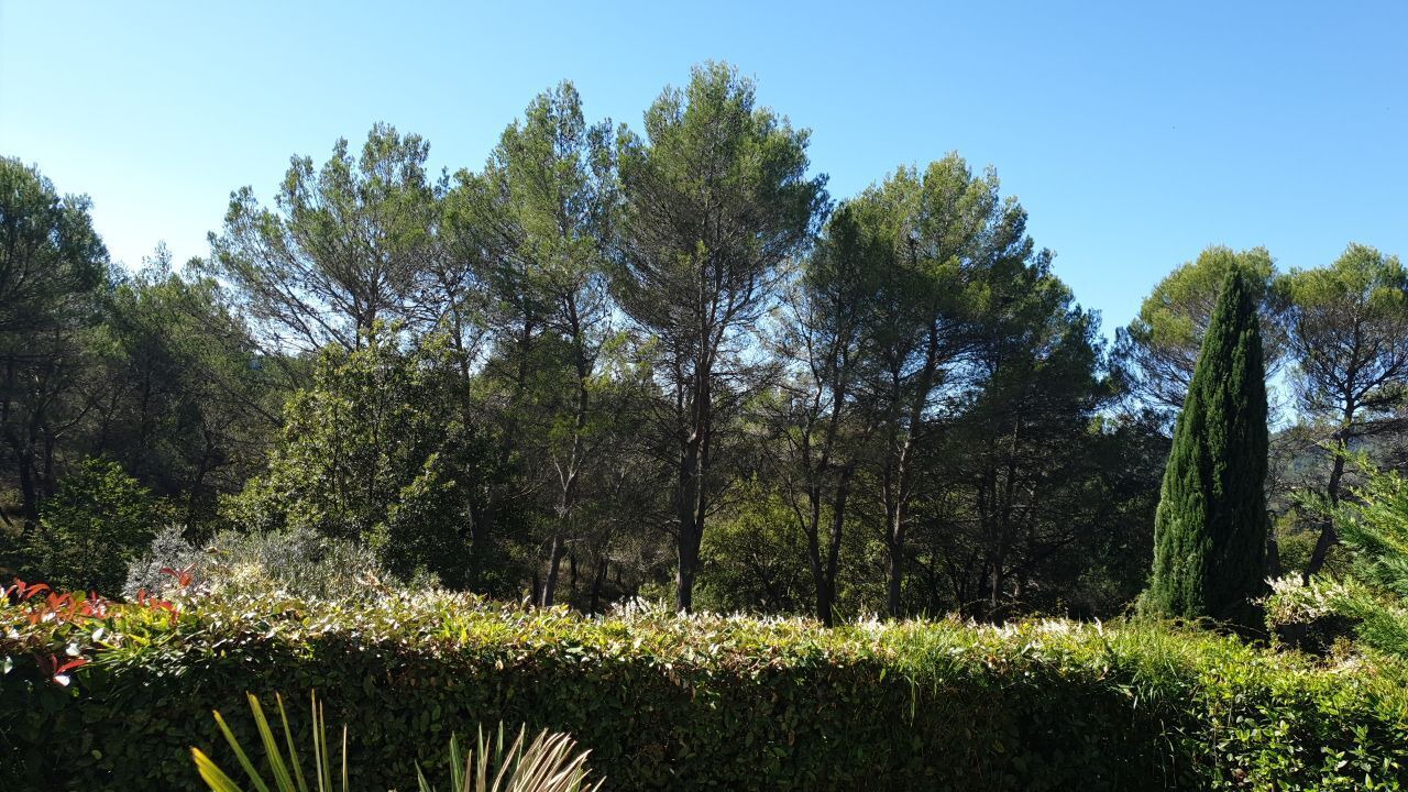 Photo of Outdoor in Rognes