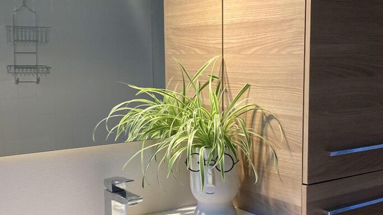 Photo of Bathroom in Caumont-sur-Durance