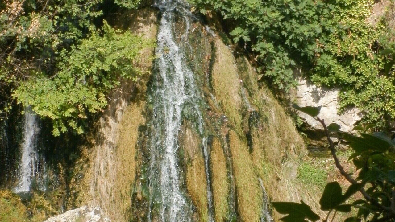 Photo of Others in Trans-en-Provence