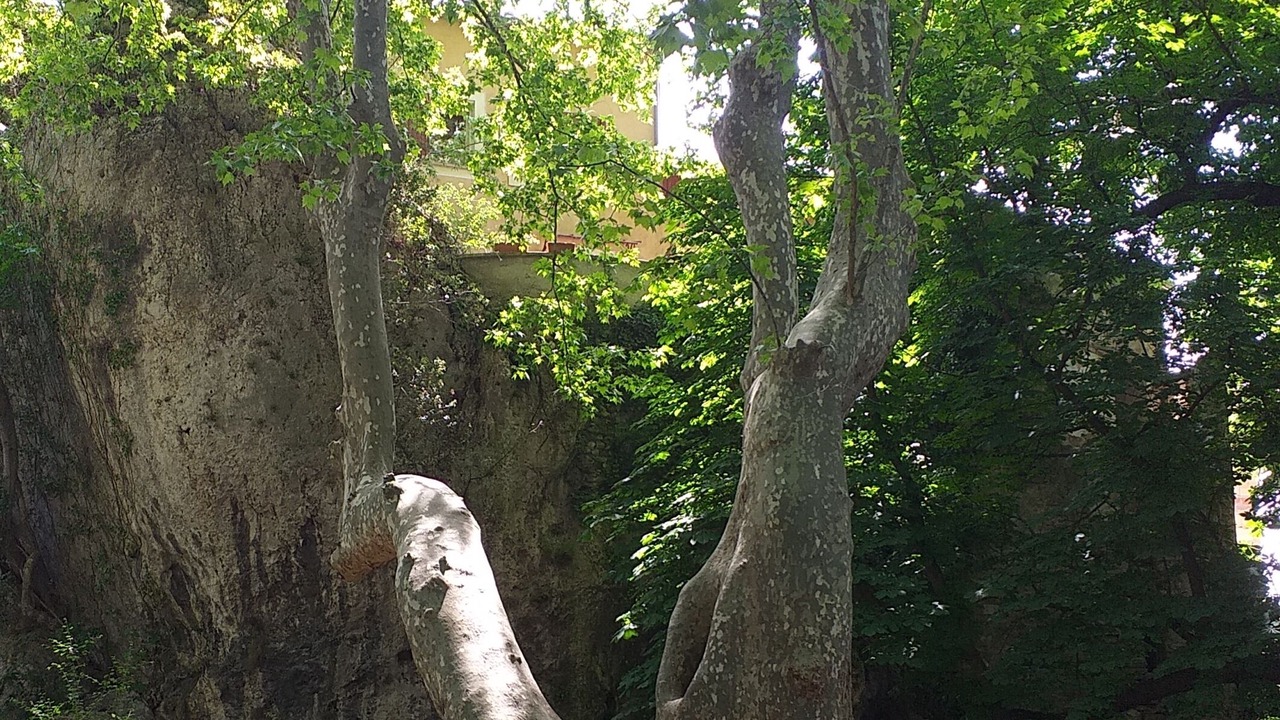 Photo of Outdoor in Fontaine-de-Vaucluse