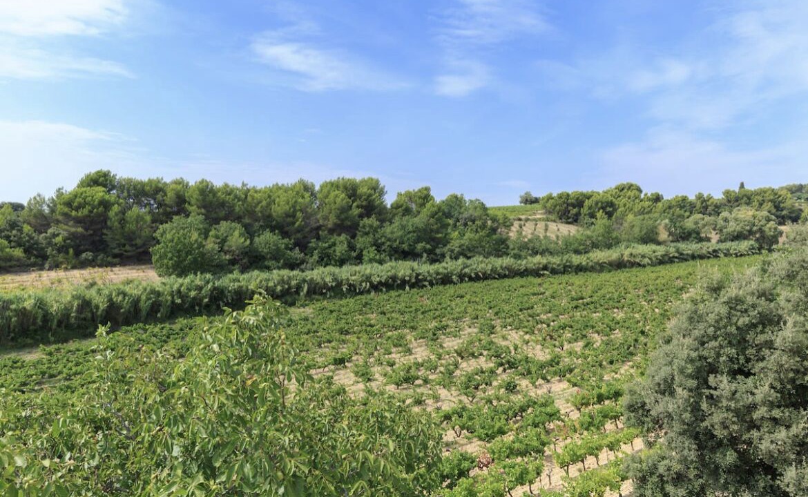 Photo of Outdoor in Saint-Maurice-sur-Eygues
