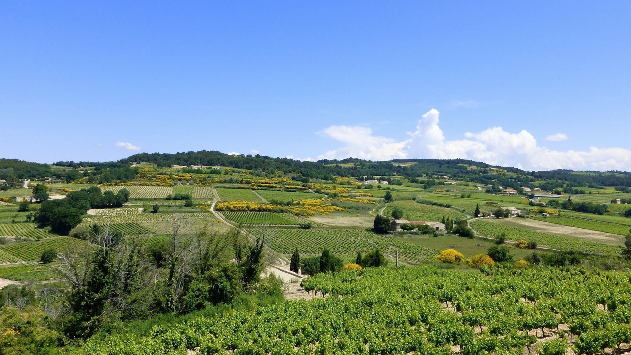 Photo of Others in Roaix