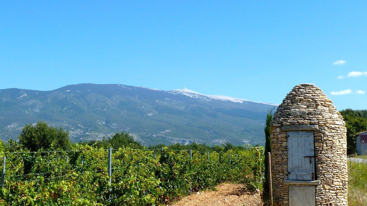 Photo of Others in Vaison-la-Romaine
