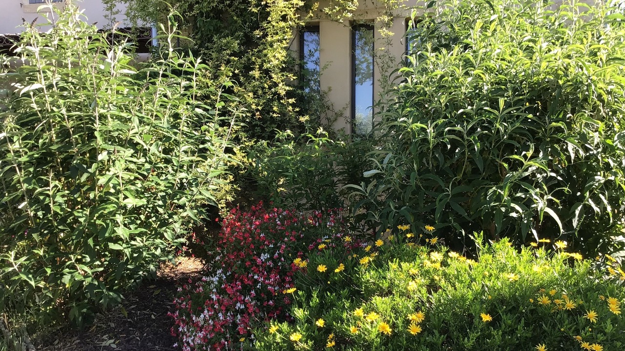 Photo of Outdoor in Saint-Hilaire-d'Ozilhan