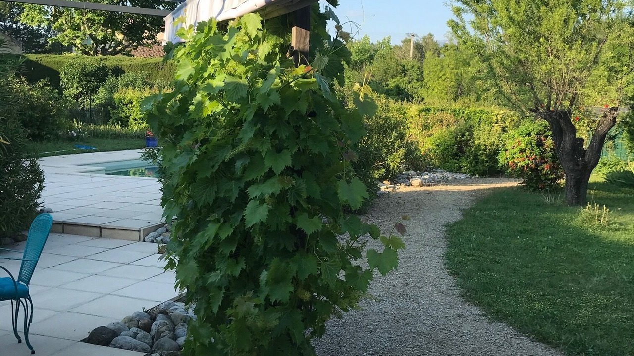 Photo of Outdoor in Bras-d'Asse