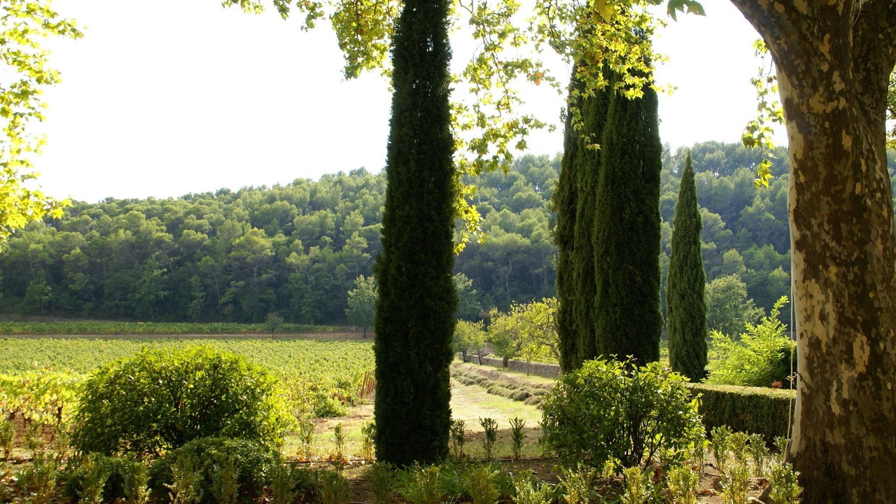 Photo of Others in Saint-Antonin-du-Var