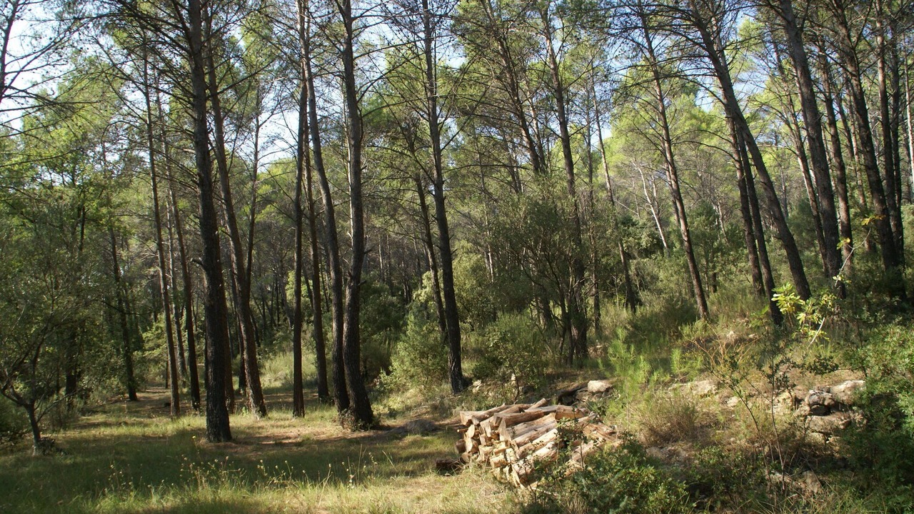 Photo of Others in Saint-Antonin-du-Var
