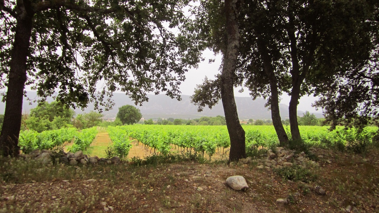 Photo of Others in Robion