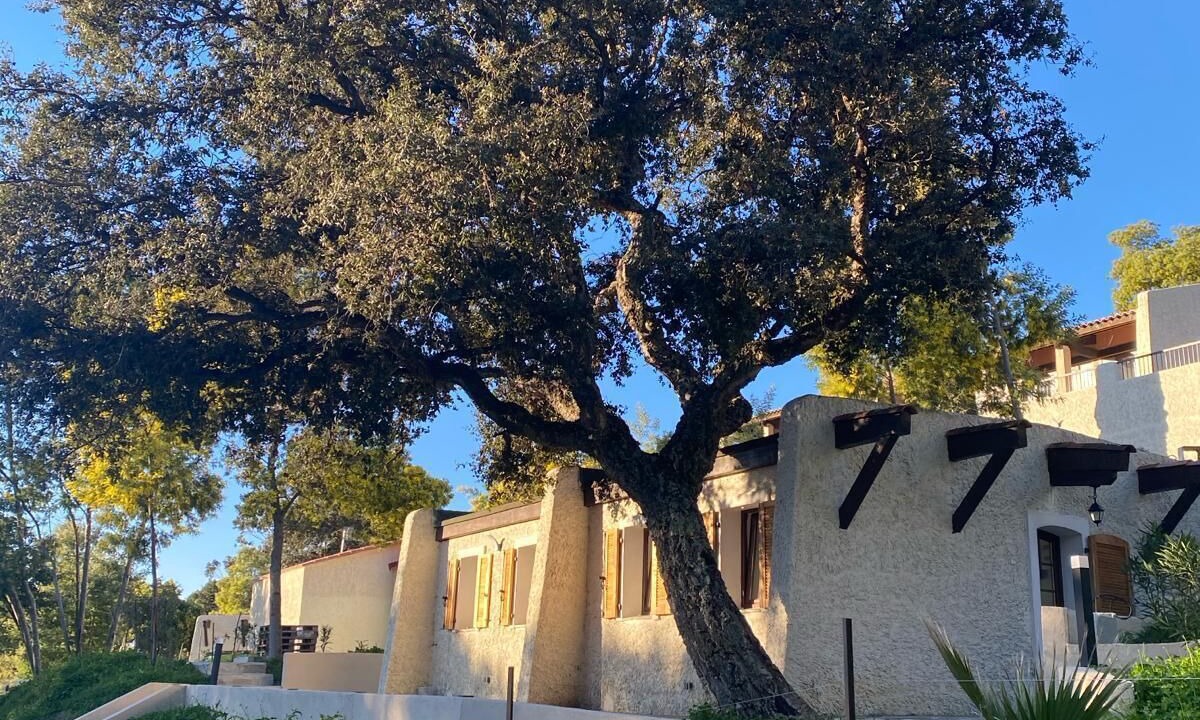 Photo of Outdoor in Cavaliere