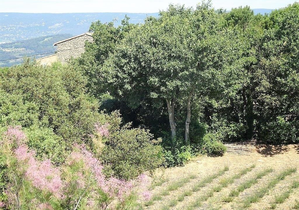 Photo of Others in Bonnieux