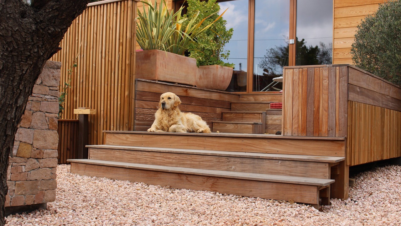 Photo of Outdoor in Gareoult