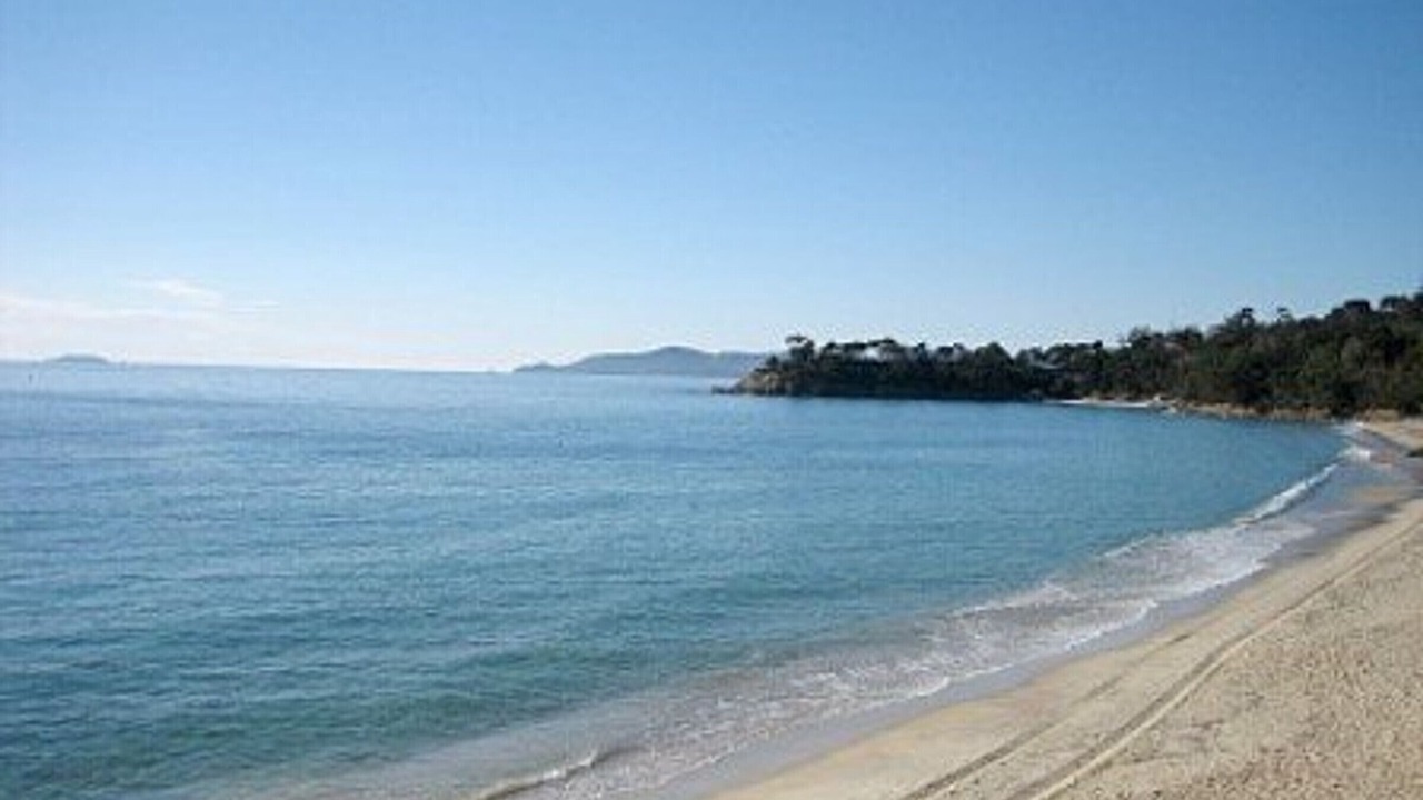 Photo of Others in Cavaliere Beach