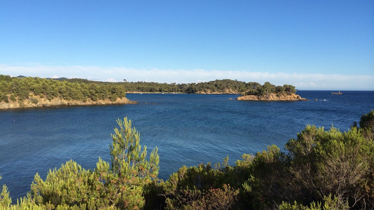 Photo of Others in La Londe-les-Maures