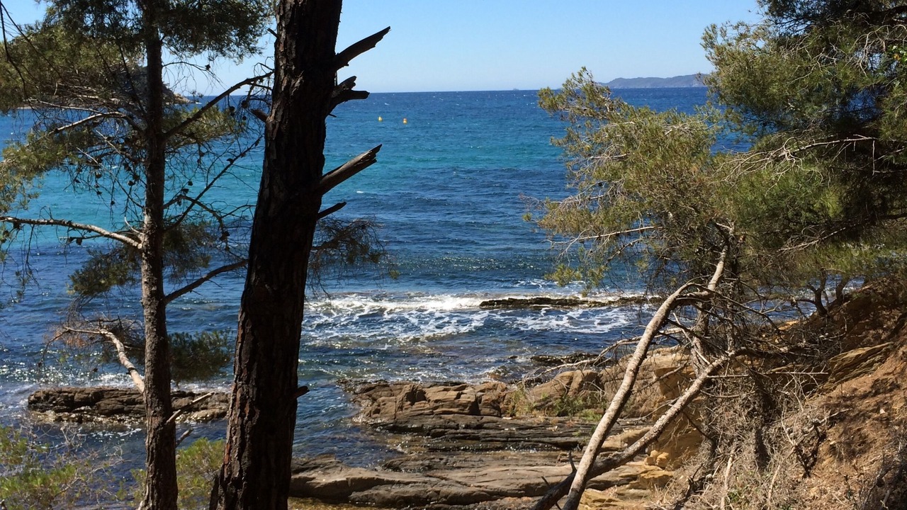 Photo of Others in La Londe-les-Maures