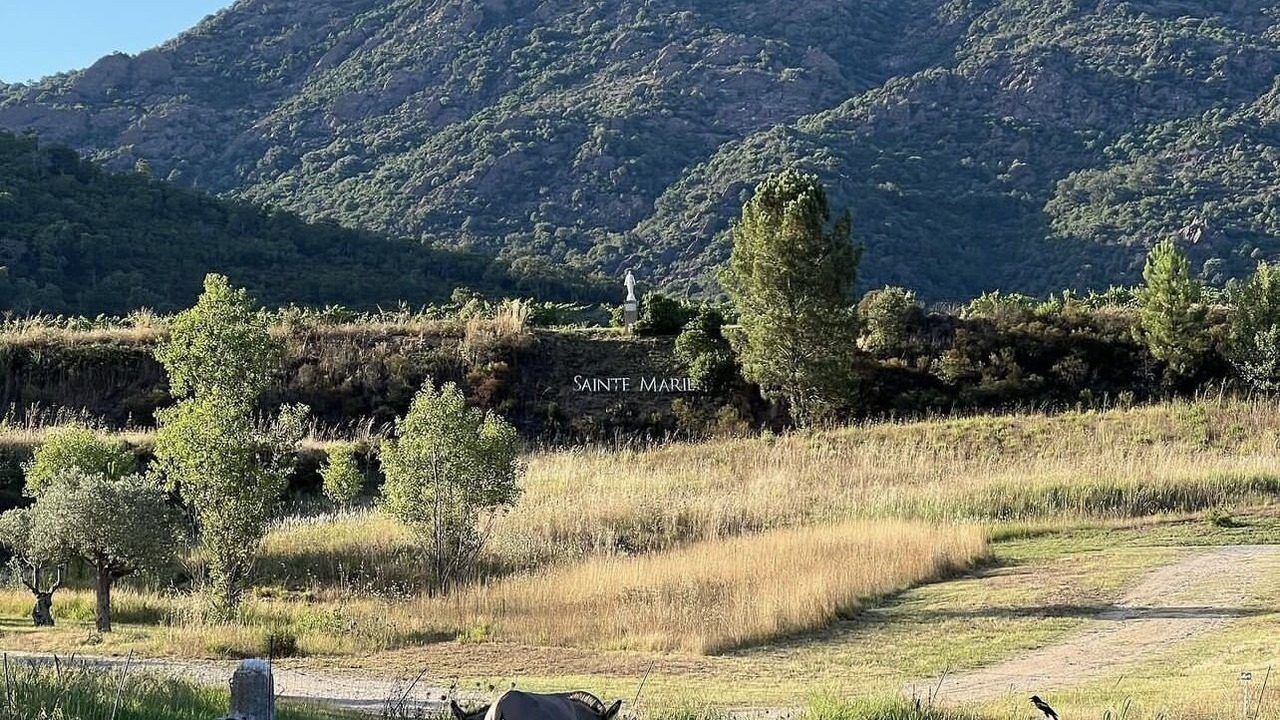 Photo of Outdoor in Bormes-Les-Mimosas