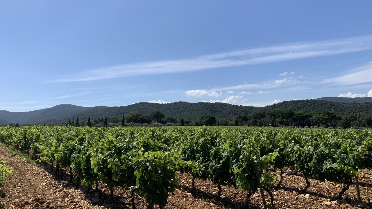 Photo of Outdoor in Cogolin