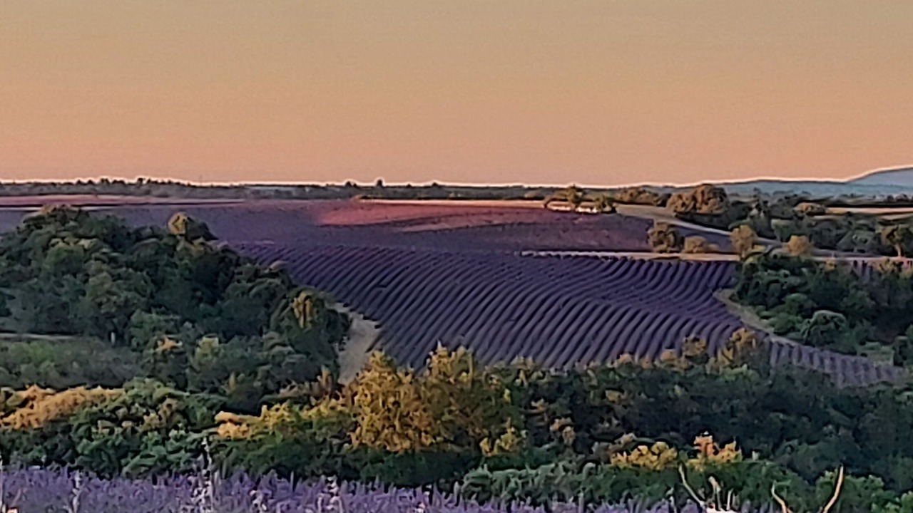 Photo of Others in Valensole
