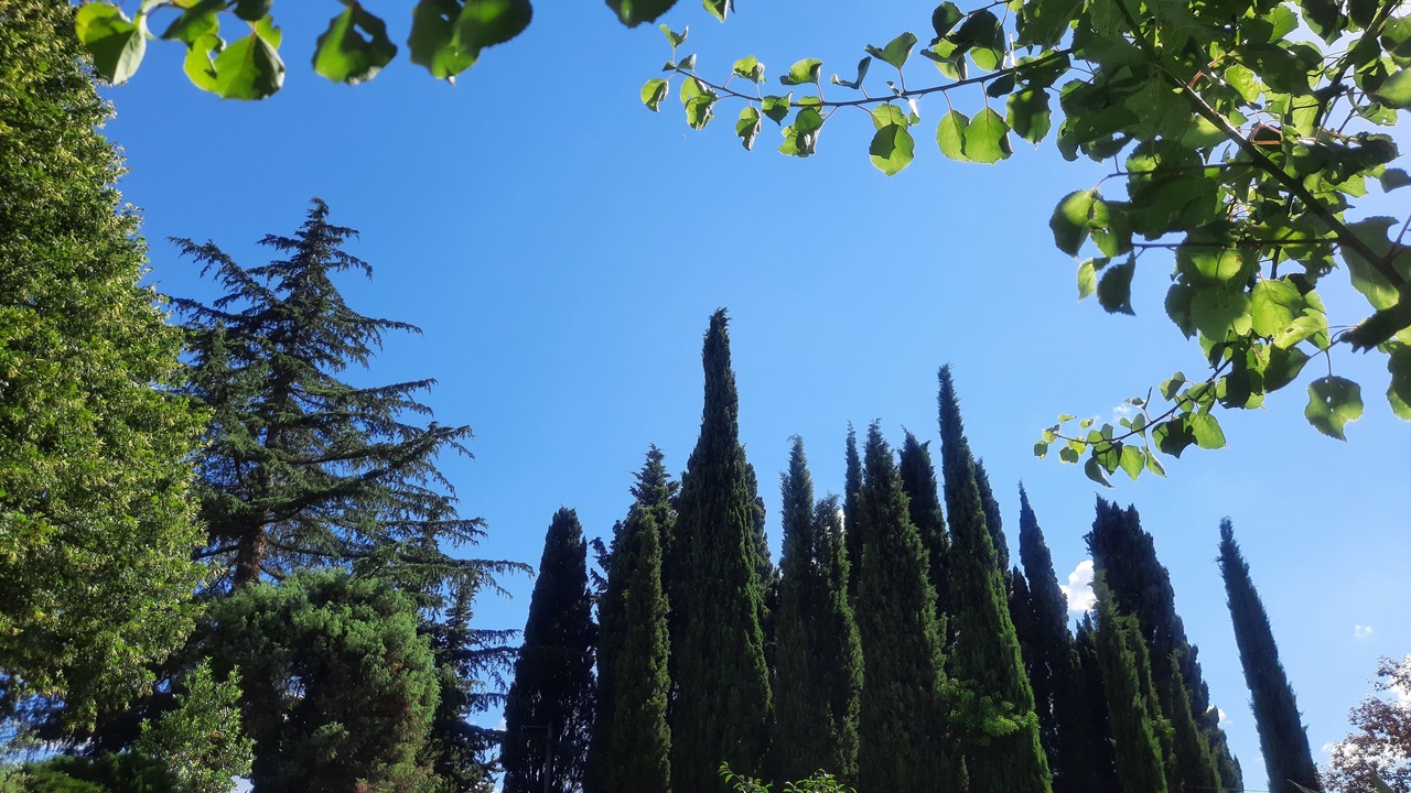 Photo of Outdoor in Sablet