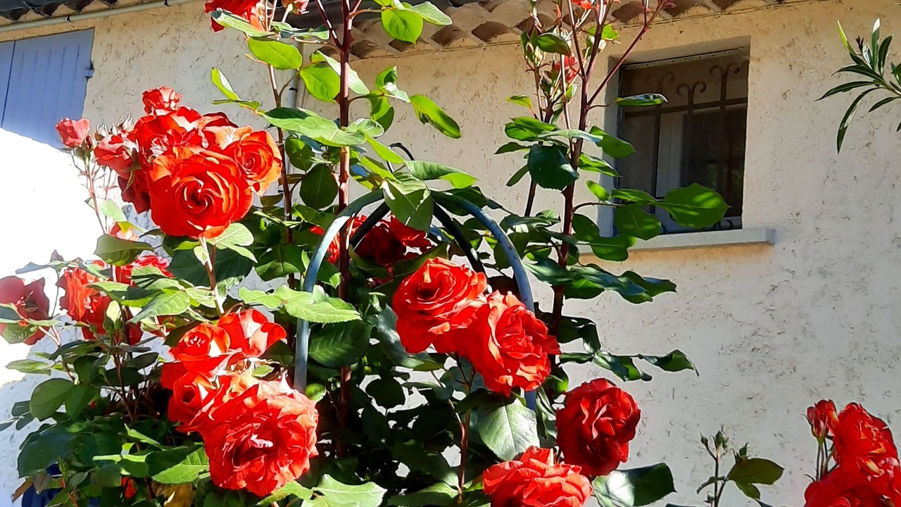 Photo of Outdoor in Sablet