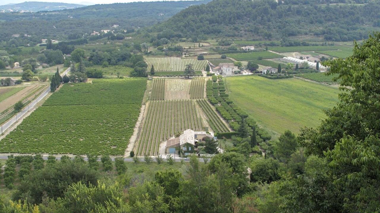 Photo of Others in Menerbes