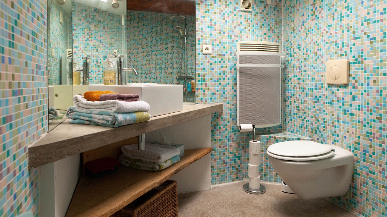 Photo of Bathroom in Venasque