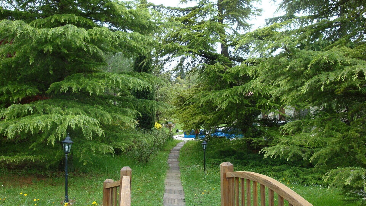 Photo of Outdoor in Saint-Michel-l'Observatoire