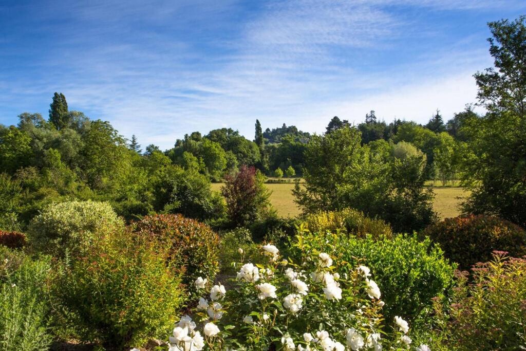 Photo of Outdoor in Forcalquier