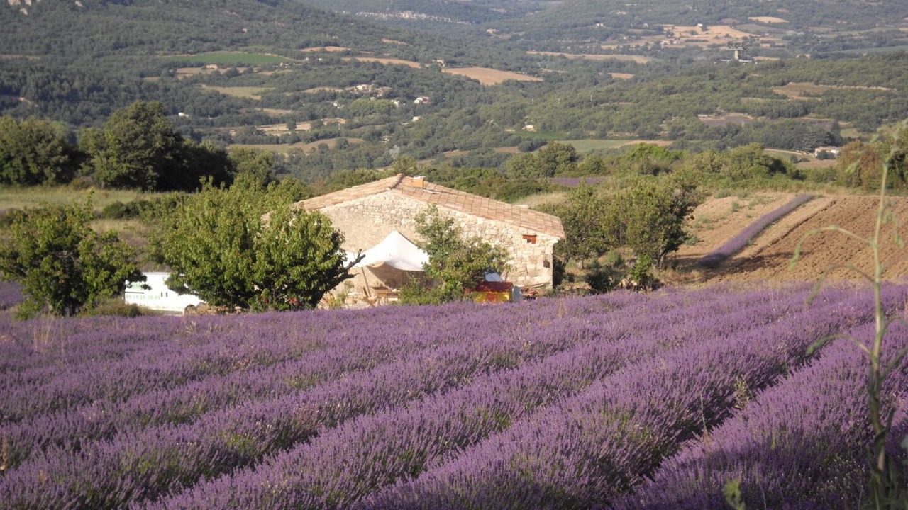 Photo of Outdoor in Castellet