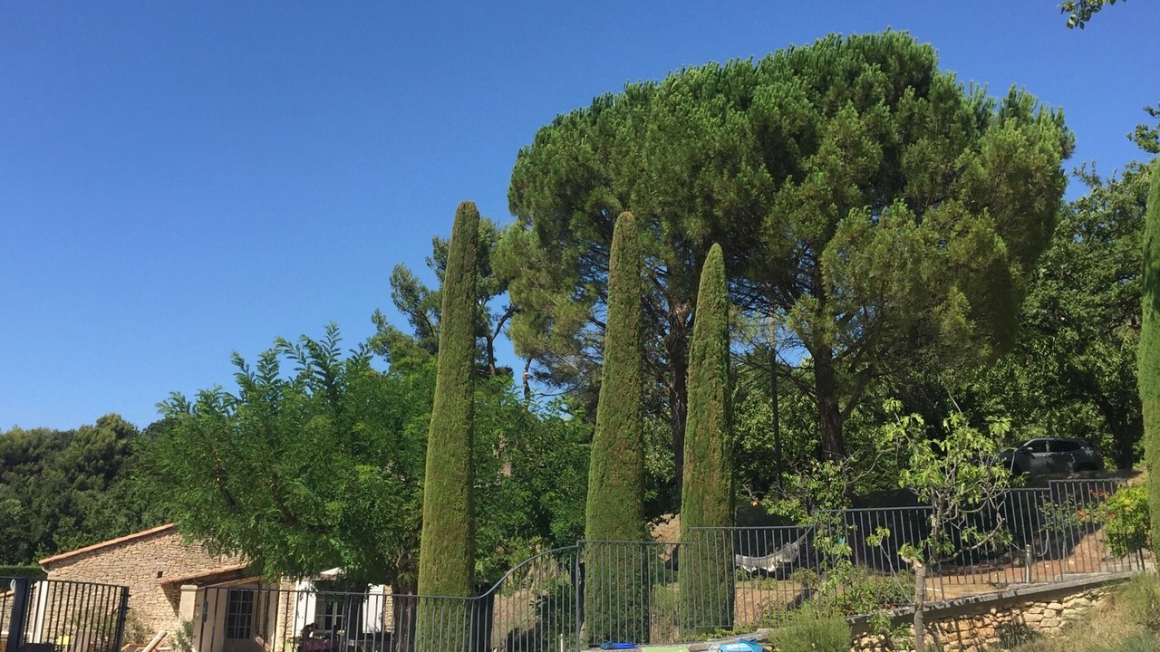 Photo of Outdoor in Menerbes