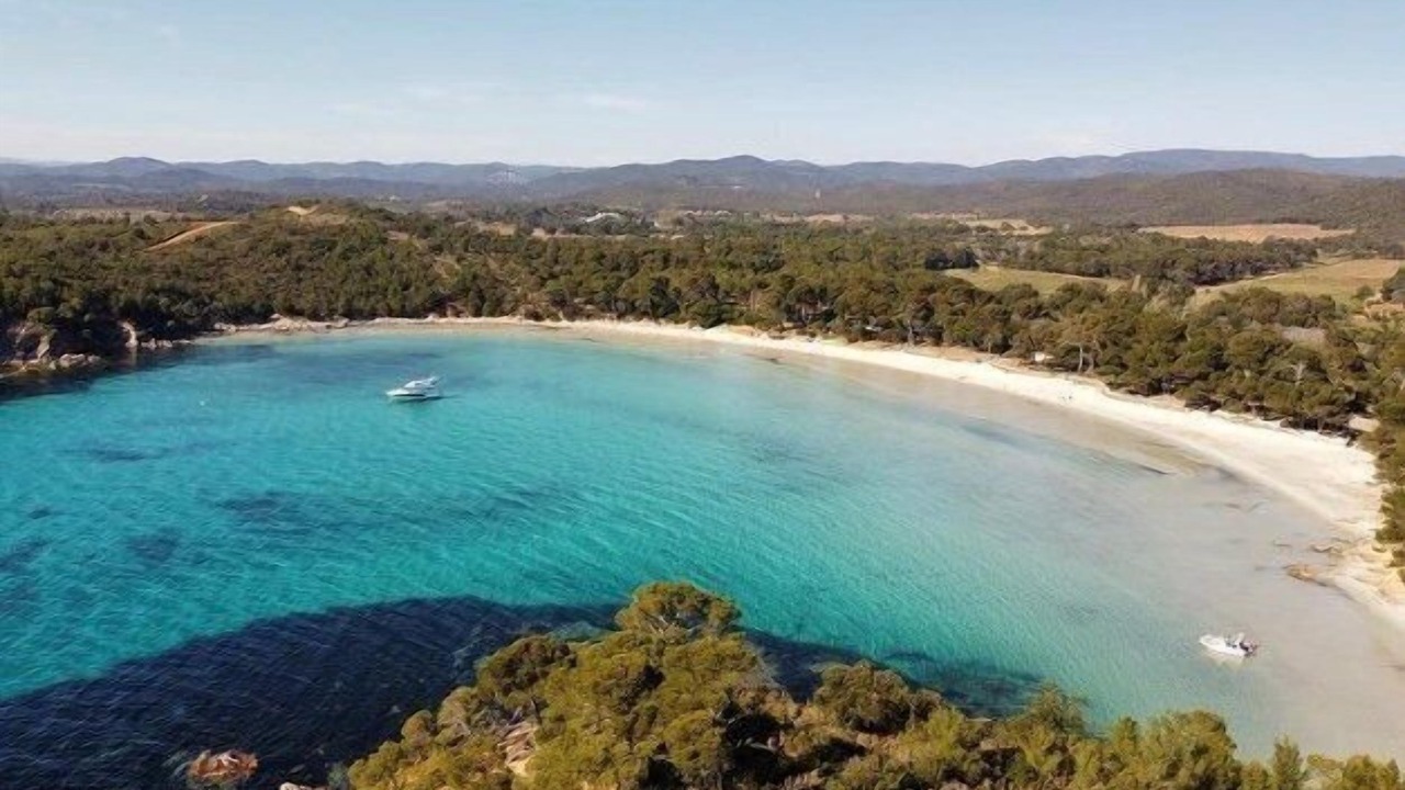 Photo of Others in La Londe-les-Maures
