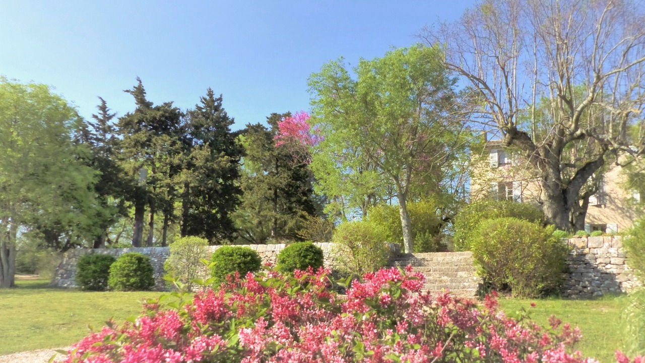 Photo of Outdoor in Saint-Maximin-la-Sainte-Baume