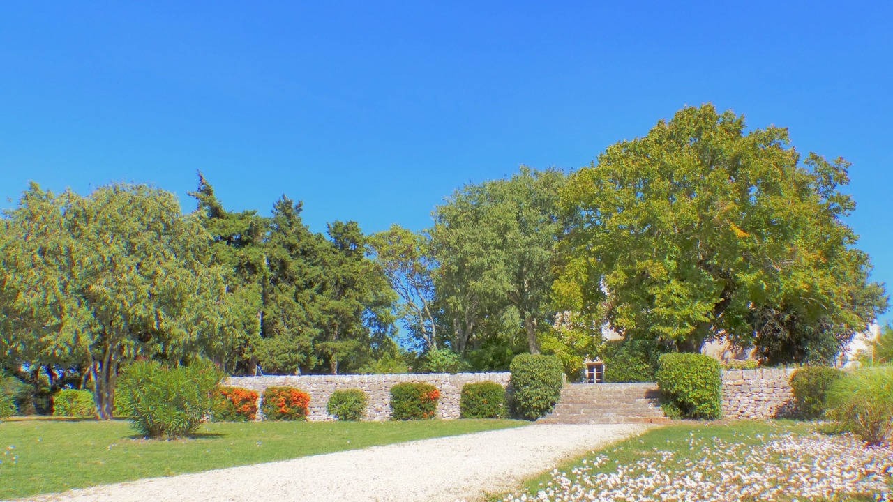 Photo of Outdoor in Saint-Maximin-la-Sainte-Baume