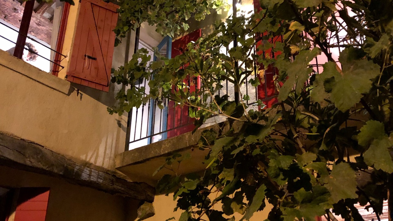 Photo of Outdoor in La Garde-Freinet